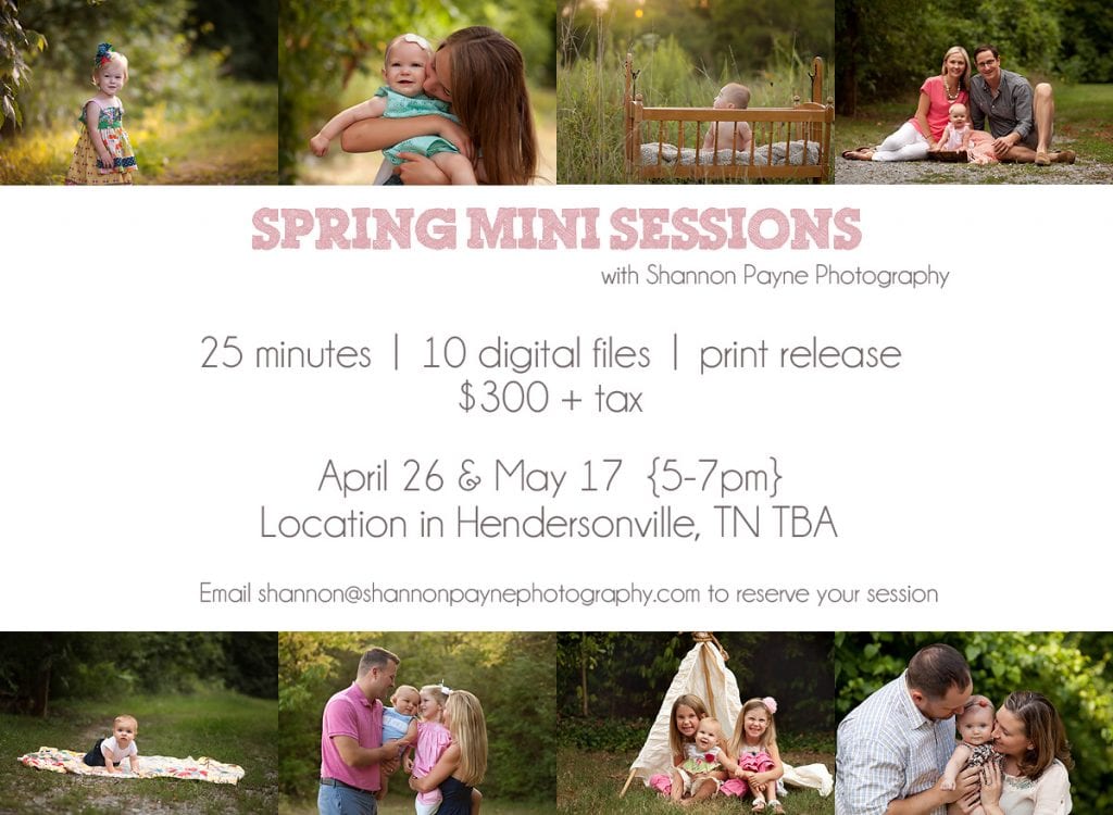 springminis2015 Spring Mini Sessions 2015 | {Nashville Family Child Photographer}