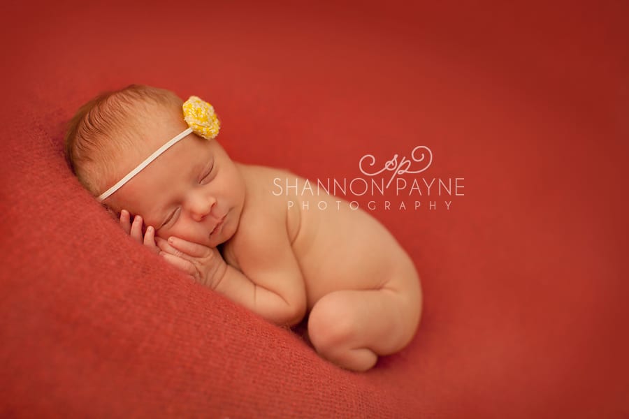  Brynn | {Nashville Greenbrier Newborn Photographer}