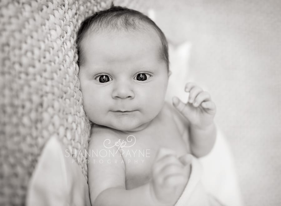  F Family | {Nashville Gallatin Newborn Photographer}