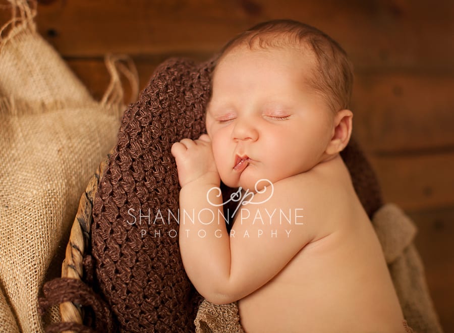  F Family | {Nashville Gallatin Newborn Photographer}