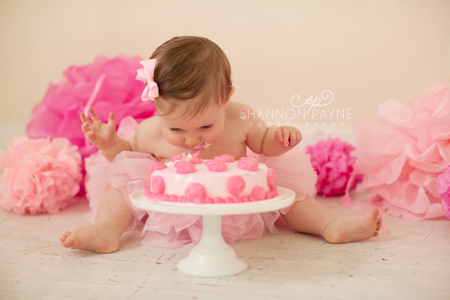  Olivia 1 Year | {Hendersonville Nashville Baby Photographer}