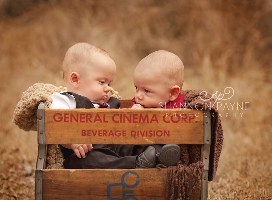  The M Twins | {Nashville Franklin Twin Baby Photographer}