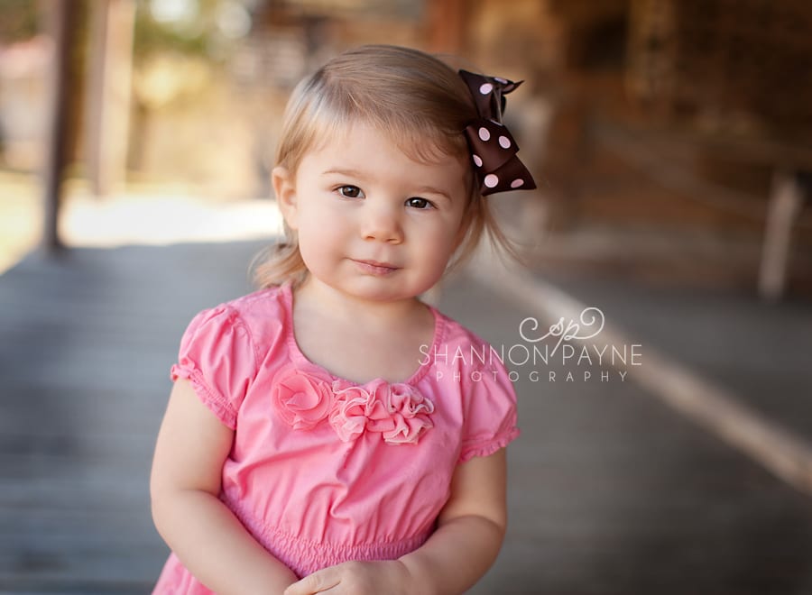  M 18 Months | {Nashville Smyrna Child Photographer}