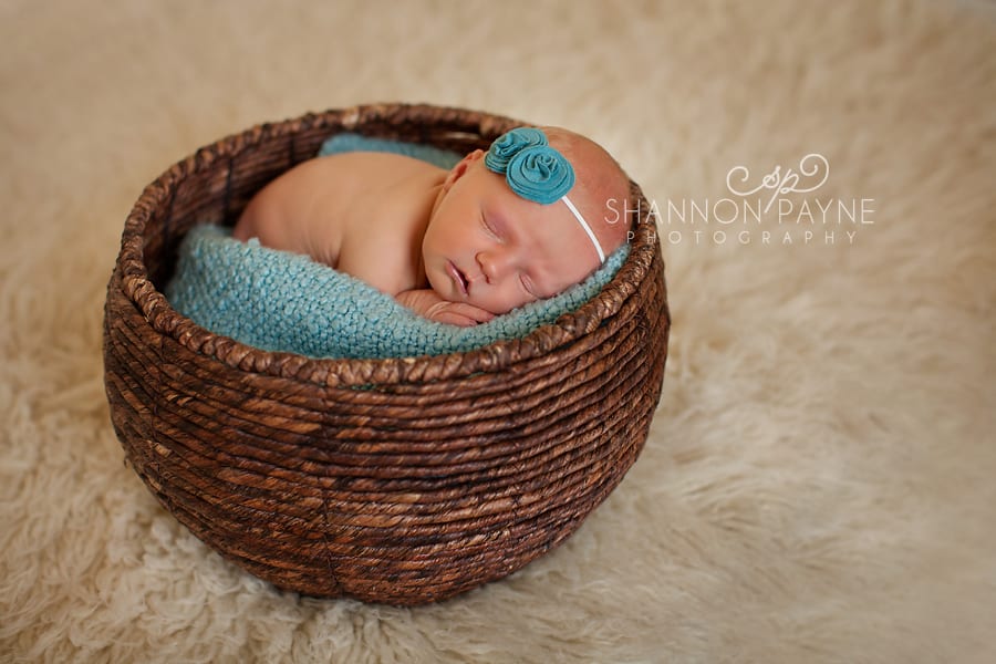 Shannon Payne Photography | Nashville TN Newborn Photographer
