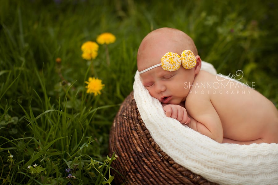  Harper | {Nashville Brentwood Newborn Photographer}