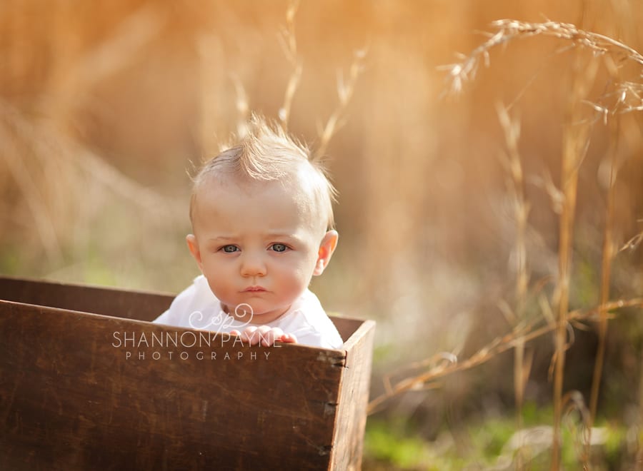 Nashville TN Baby Photographer  Kingston 6 Months | {Nashville Hendersonville Baby Photographer}