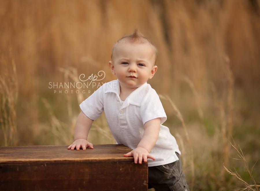 Nashville TN Baby Photographer  Kingston 6 Months | {Nashville Hendersonville Baby Photographer}