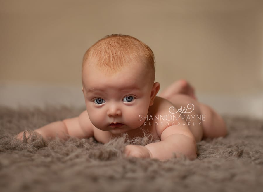 Shannon Payne Photography | Nashville TN Baby Photographer