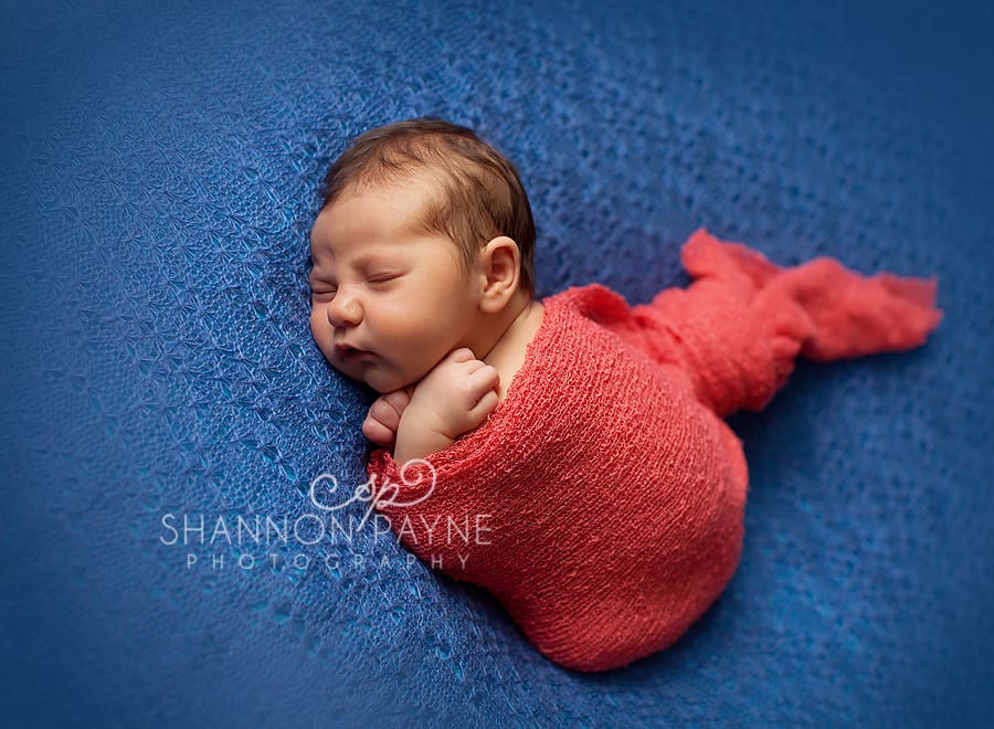 Shannon Payne Photography | Nashville TN Newborn Photographer