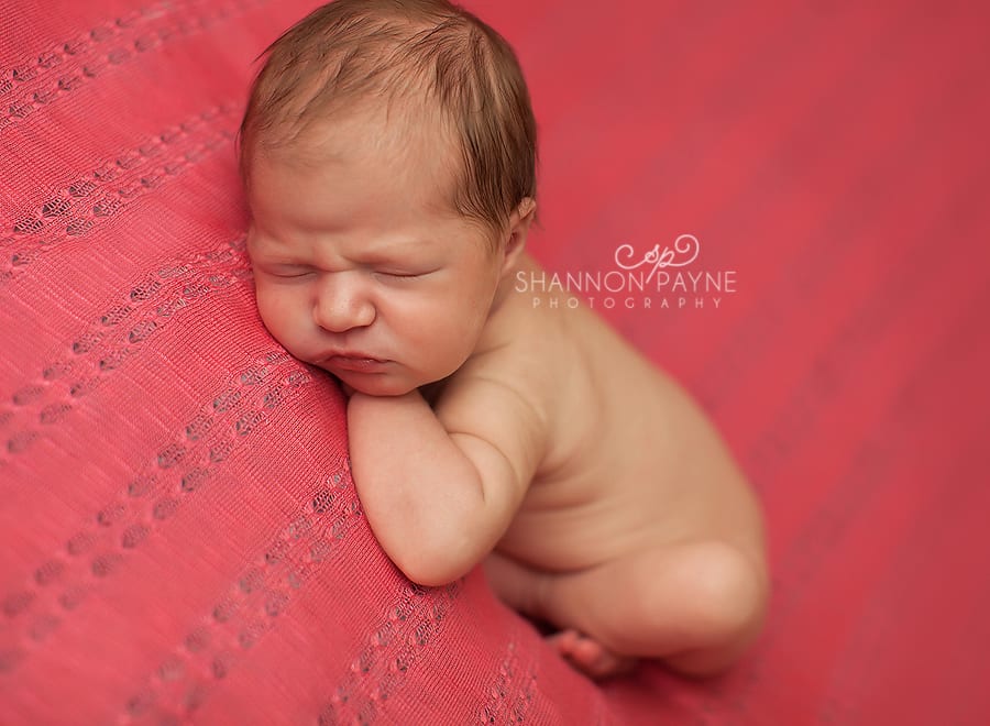 Shannon Payne Photography | Nashville Newborn Photographer
