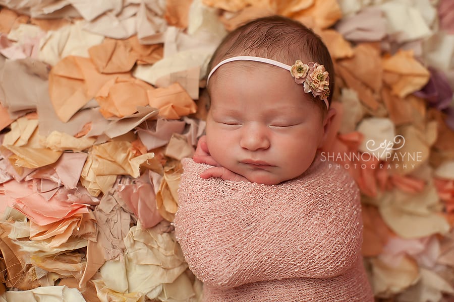  Carlie | {Middle TN Nashville Newborn Photographer}