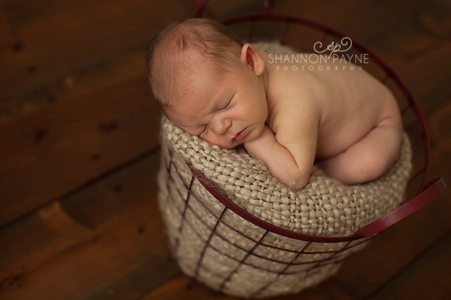  Sawyer | {Nashville Franklin Newborn Photographer}