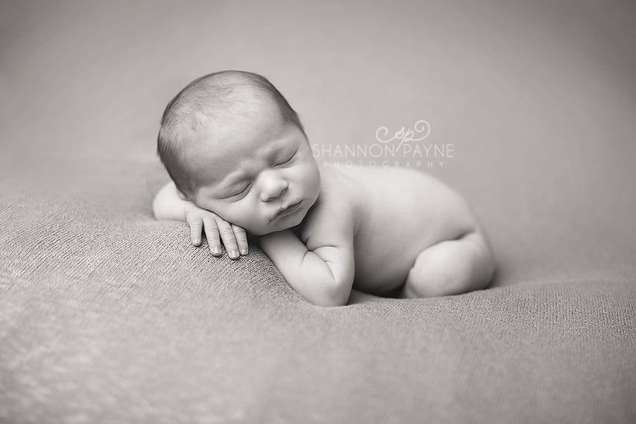  Zander | {Nashville Bowling Green Newborn Photographer}