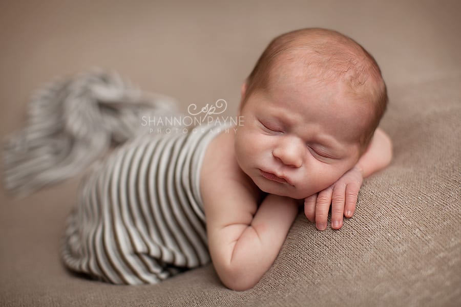  Zander | {Nashville Bowling Green Newborn Photographer}