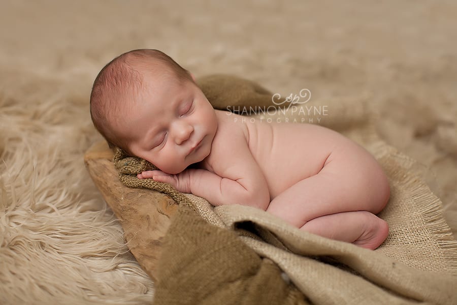 Shannon Payne Photography | Nashville Newborn Photographer