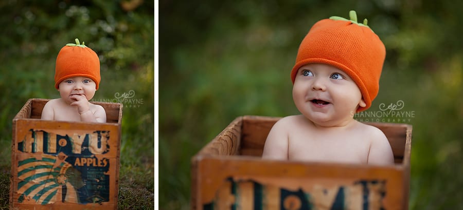 Nashville Baby Photographer Image Lane | {Hendersonville Baby Photographer}