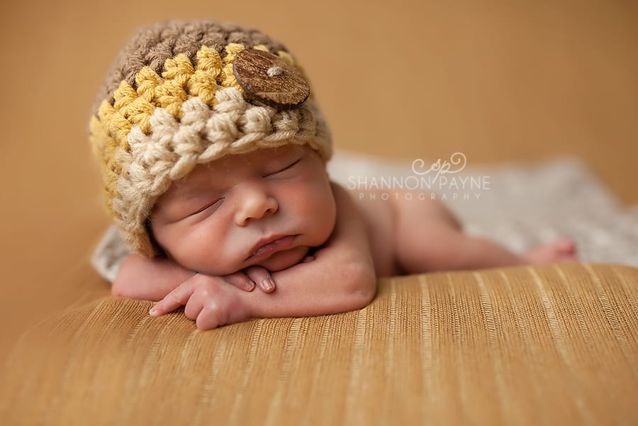 Shannon Payne Photography | Nashville Newborn Photographer