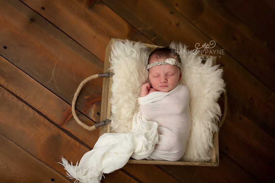  Vivienne | {Hendersonville Franklin Newborn Baby Photographer}