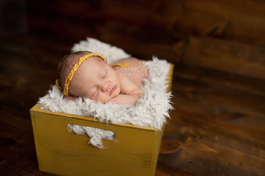  Miss H | {Brentwood Franklin Newborn Photographer}