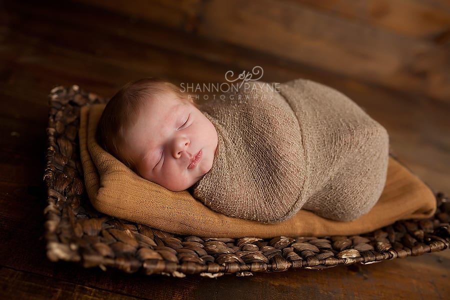  Levi | {Nashville Hendersonville Newborn Photographer}