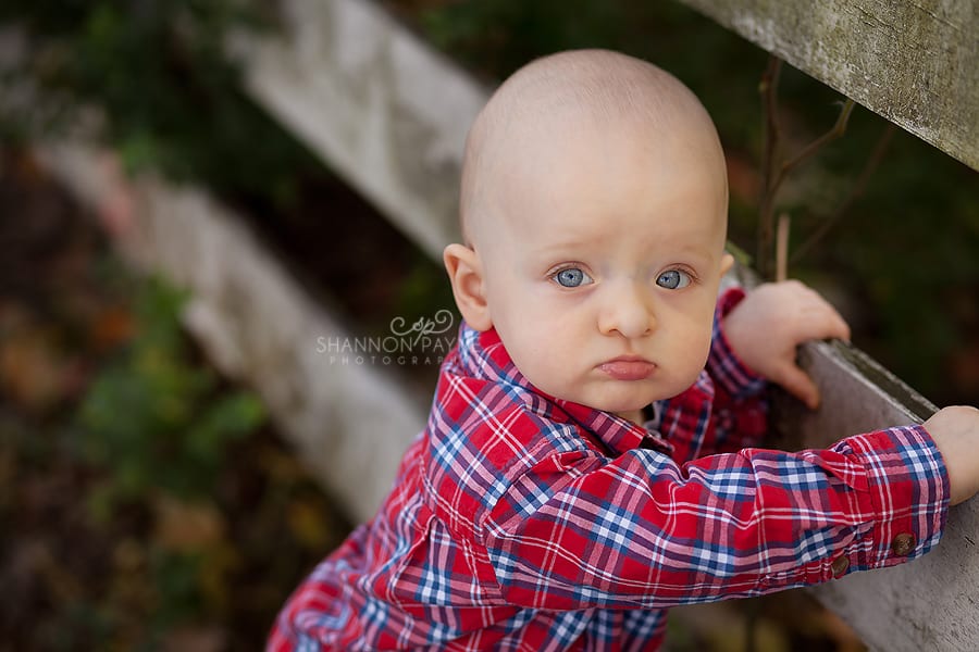 Shannon Payne Photography | Nashville TN Baby Photographer  Kellan | {Gallatin Smyrna Baby Photographer}