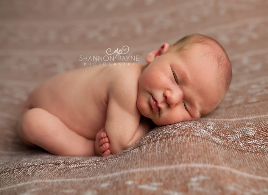  Austin | {Nashville Middle TN Newborn Photographer}