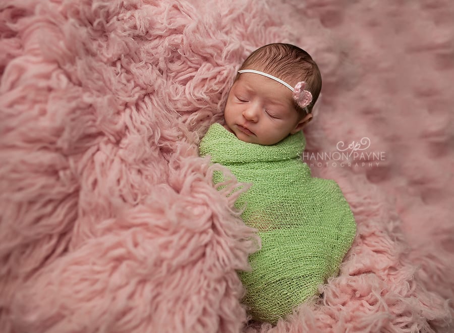 Shannon Payne Photographer | Nashville Newborn Photographer  Holland | {Ashland City Nashville Newborn Photographer}
