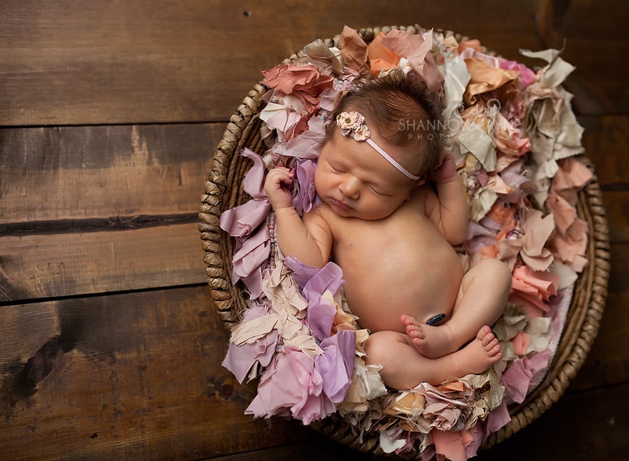  Bergan | {Brentwood Franklin Newborn Photographer}