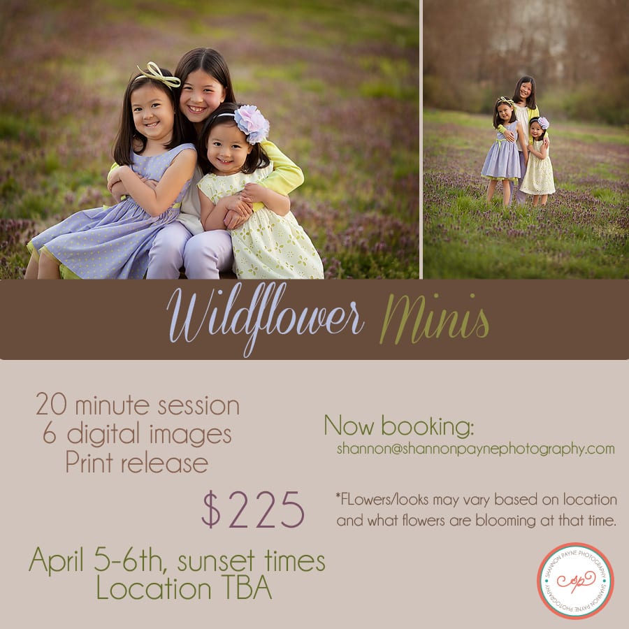  Nashville Spring Mini Sessions | {Hendersonville Mini Sessions}