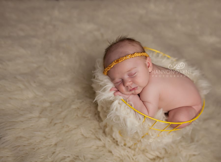  Miss L | {Green Hills Belle Meade Newborn Photographer}
