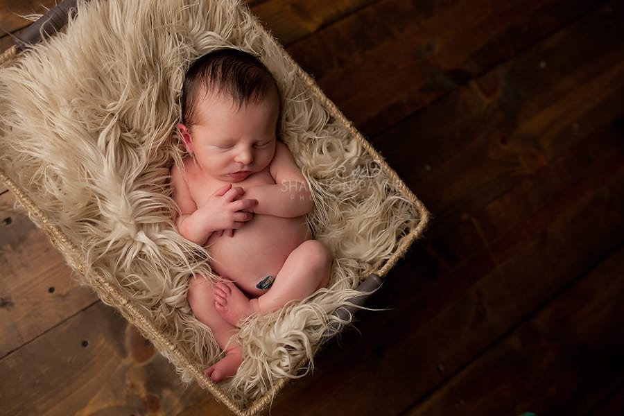  Easton | {Hendersonville Gallatin Newborn Photographer}