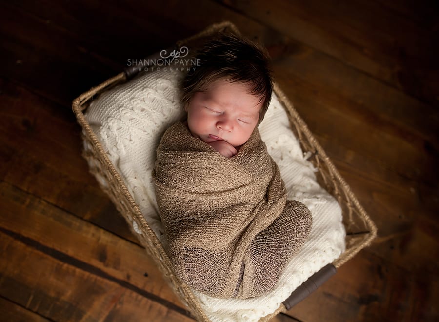 Shannon Payne Photography | Nashville TN Newborn Photographer  Brantley | {Hendersonville Gallatin Newborn Photographer}