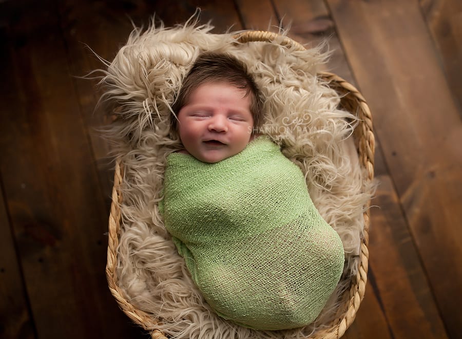 Shannon Payne Photography | Nashville TN Newborn Photographer  Brantley | {Hendersonville Gallatin Newborn Photographer}