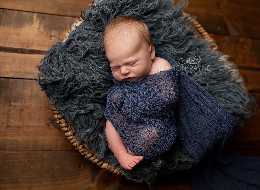  Mr. Z | {Gallatin Hendersonville Newborn Photographer}