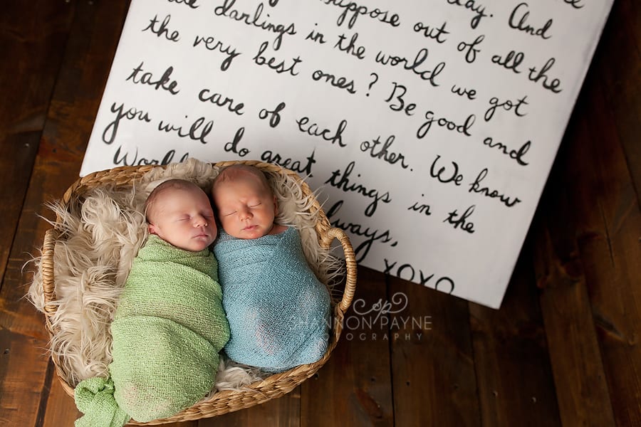 Shannon Payne Photography | Nashville TN Newborn Twin Photographer Charlie and Ford | {Nashville TN Twin Newborn Photographer}