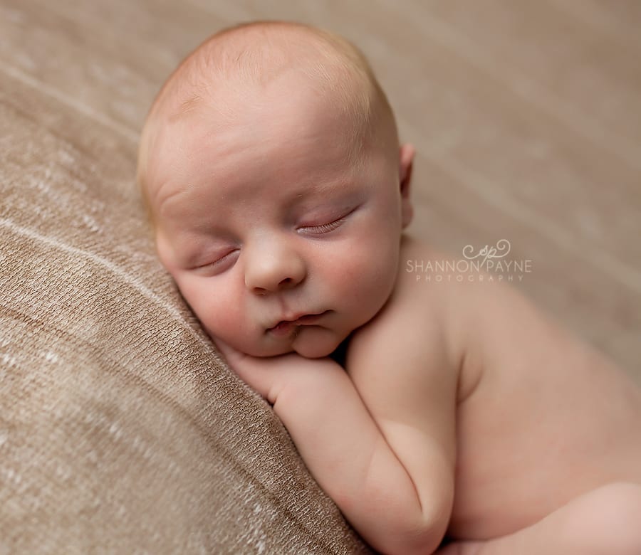  Robert | {Nashville Hendersonville Newborn Photographer}
