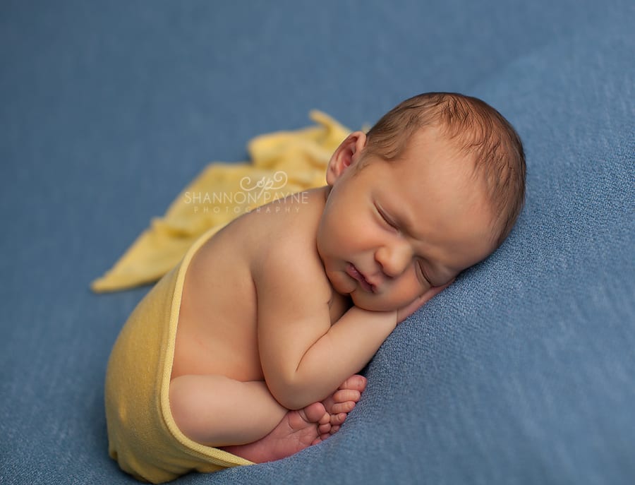  Bauer | Green Hills Newborn Photographer