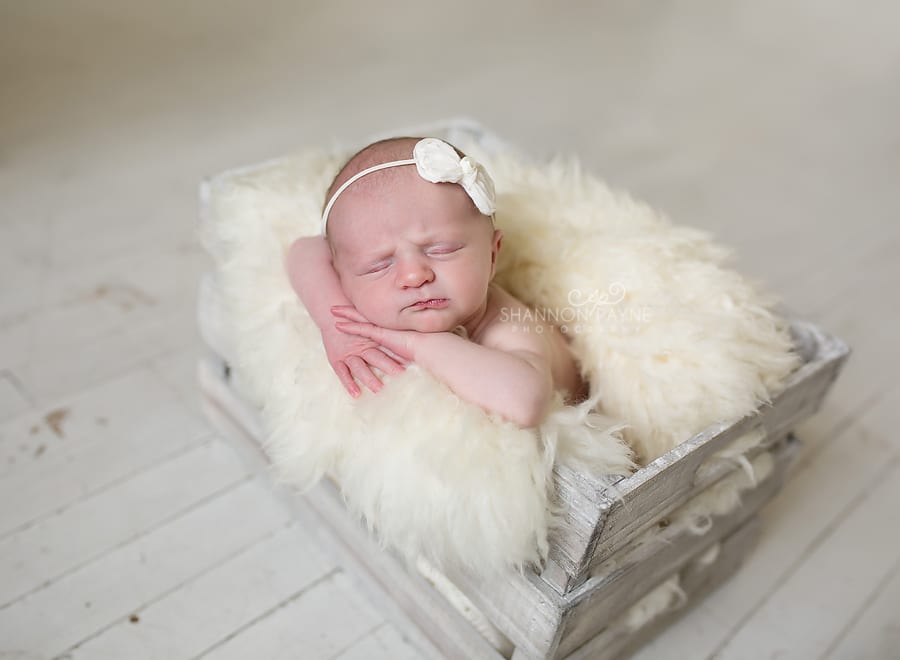  Carlie Jean | {Middle TN Hendersonville Newborn Photographer}