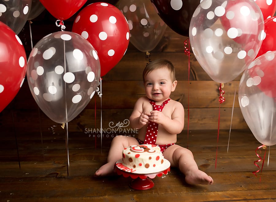 Owen | {Hendersonville Gallatin First Birthday Photographer}