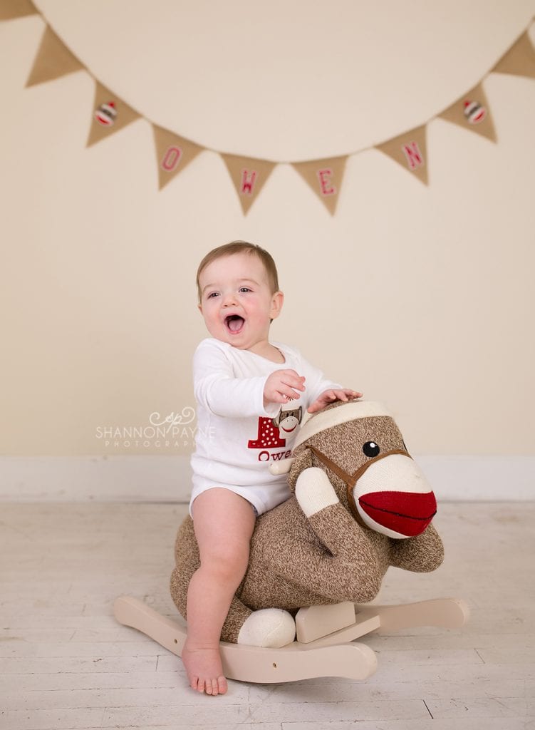Owen | {Hendersonville Gallatin First Birthday Photographer}