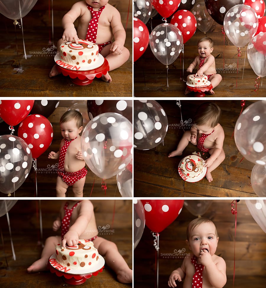 Owen | {Hendersonville Gallatin First Birthday Photographer}