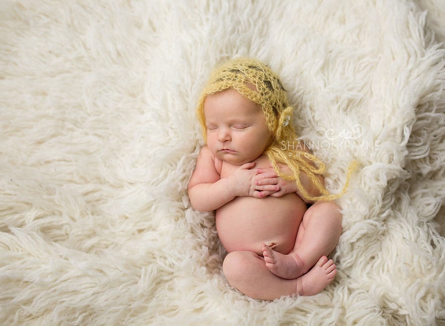 Nashville Newborn Photographer
