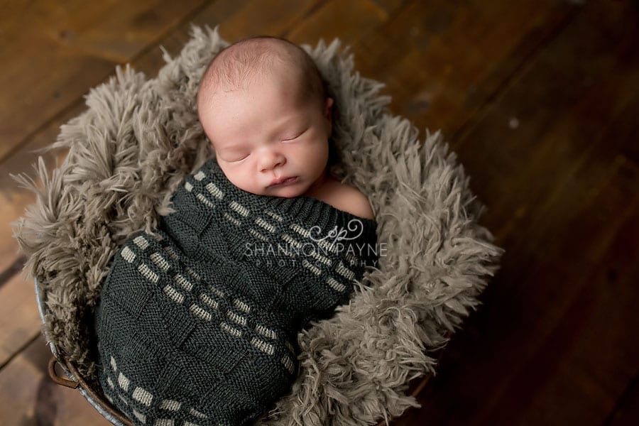  Gryffin | Studio Newborn Photos Near Nashville