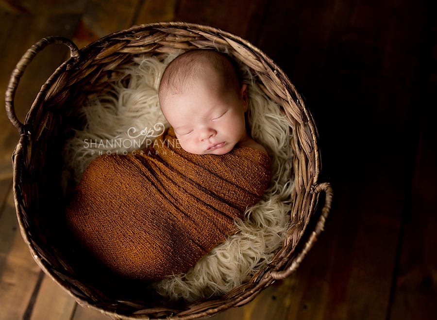  Gryffin | Studio Newborn Photos Near Nashville