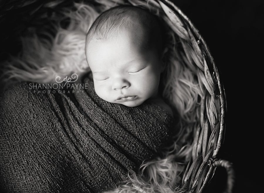 Shannon Payne Photography | Nashville Newborn Photographer