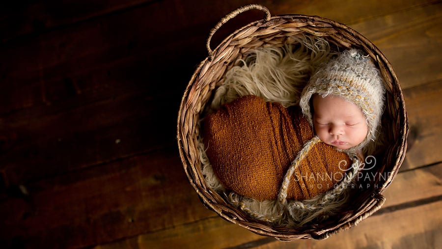  Gryffin | Studio Newborn Photos Near Nashville