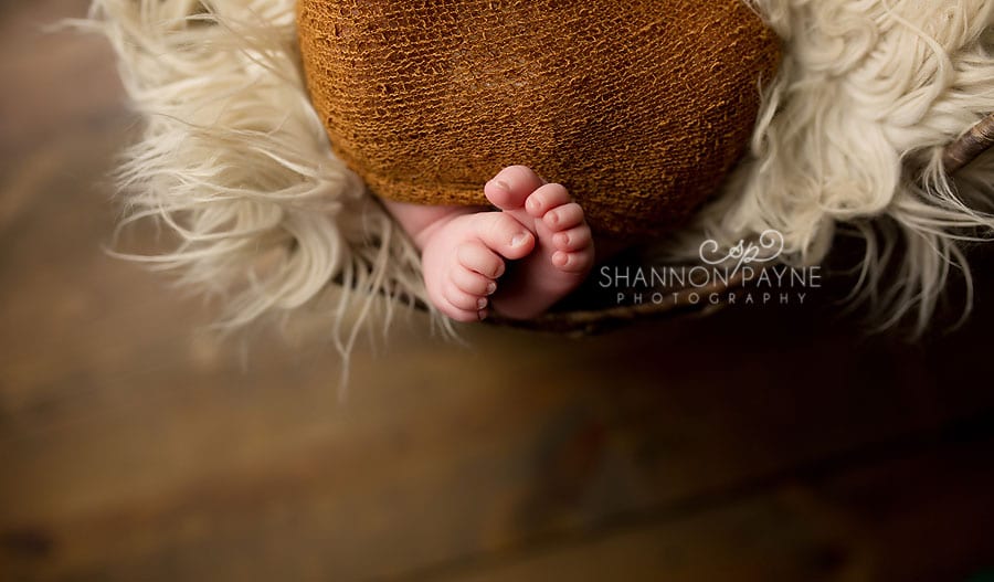  Giggs | {Nashville Hendersonville Newborn Photographer}