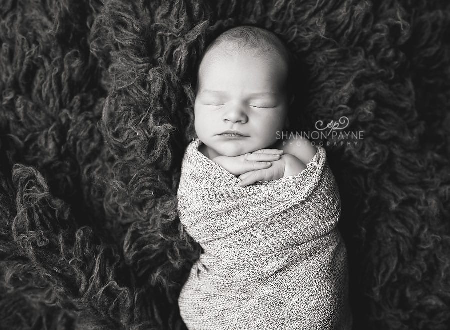 Shannon Payne Photography | Nashville Newborn Photographer