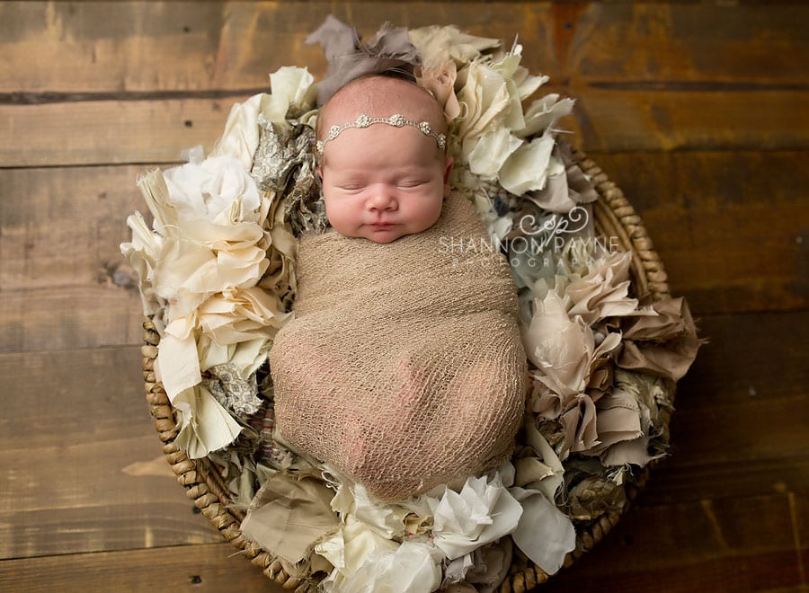 Shannon Payne Photography | Nashville Newborn Photographer