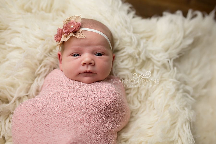  Miss R | {Hendersonville Gallatin Newborn Photographer}